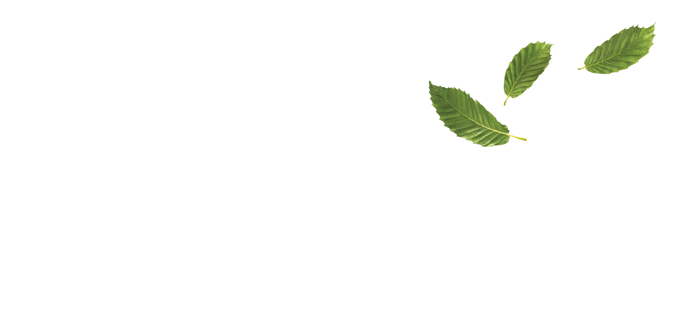logo du conseil départemental de la Corrèze